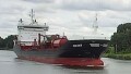 FIONIA SWAN