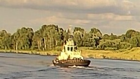 SVITZER RAN