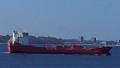 MED ADRIATIC