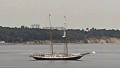 AMAZONE