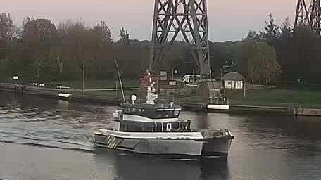SEACAT RAINBOW
