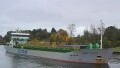 SCOT ISLES