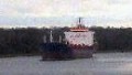 RHEINSTERN