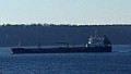 STOLT RAZORBILL