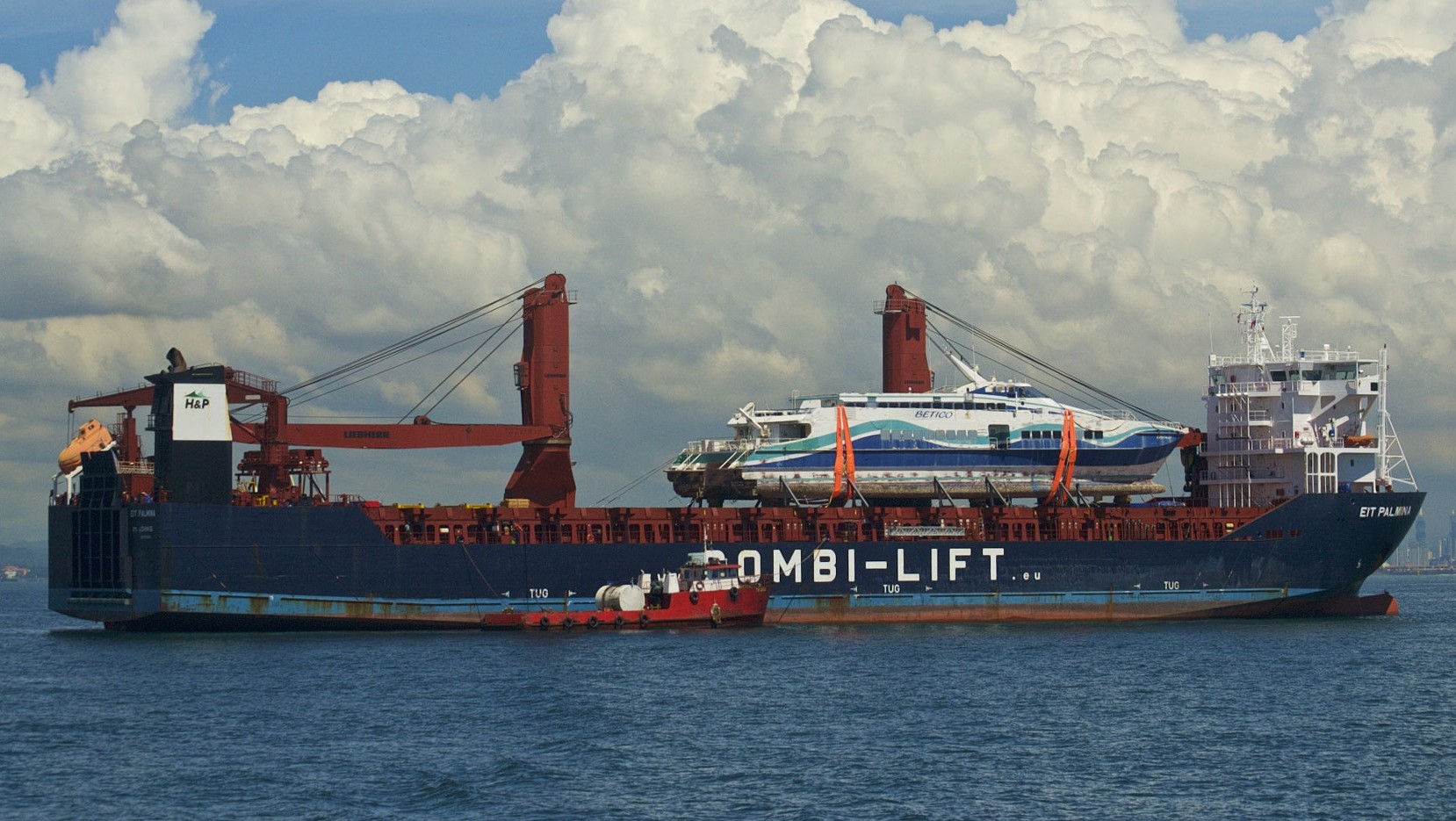EIT PALMINA
