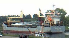 VECTIS HARRIER