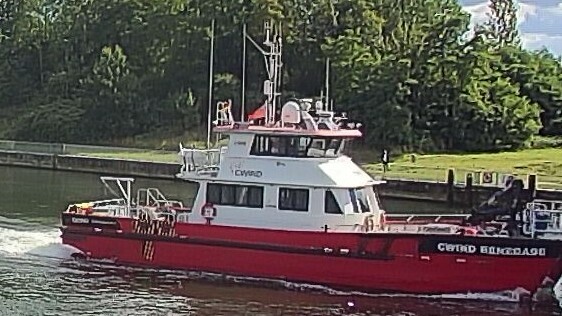 CWIND RENEGADE