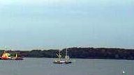 TS ROYALIST