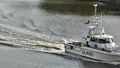 VANGUARD