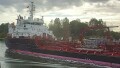STOLT SEAGULL