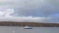 PLEASURE CRAFT