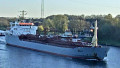 WILLY
