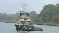 NEPTUN 11