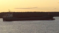 ATLANTIC MATE
