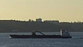 BUVIK