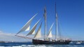 WYLDE SWAN