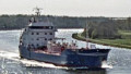 STELLA VIRGO