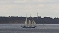 STORTEMELK