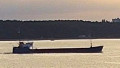 EEMS DELTA