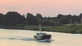 BLAUWE BOEKANIER