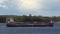 LOOBORG