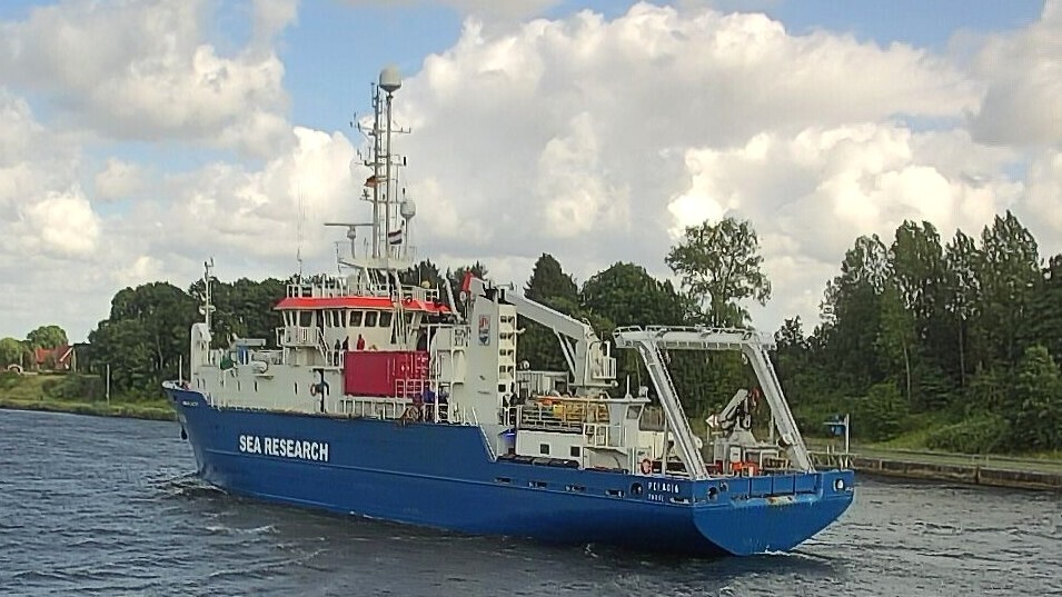 PELAGIA