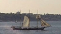SWAENSBORGH