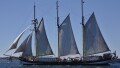 SWAENSBORGH