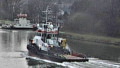 SEA ALFA