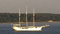 MINERVA