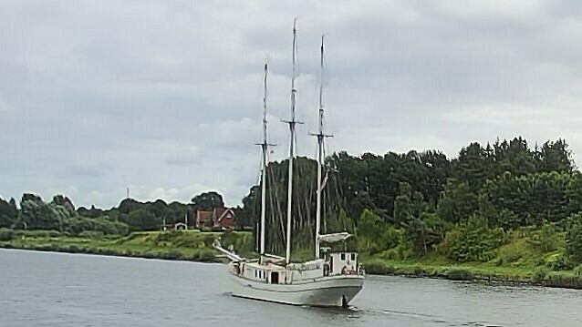 MINERVA