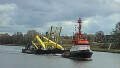 CORMORANT