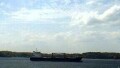 BULKER BEE 11