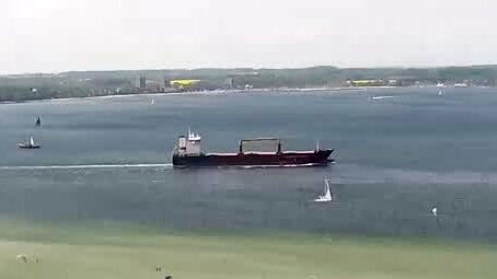 BULKER BEE 11