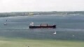 BULKER BEE 11