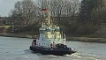POLLUX