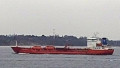 NQ ZINNIA