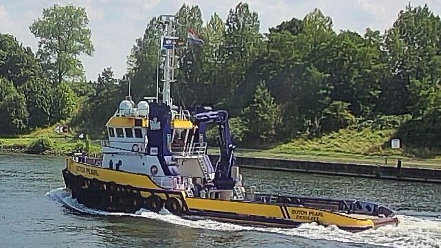 DUTCH PEARL