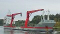 IJBORG