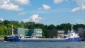 IEPBORG