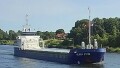 IEPBORG