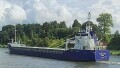 IEPBORG