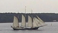 REGINA MARIS