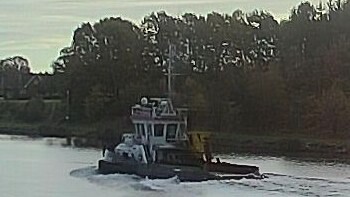 SEA BRONCO