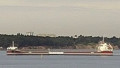 VLIEBORG