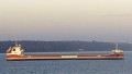 VLIEBORG