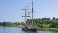 GULDEN LEEUW