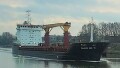BULKER BEE 10