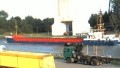 FRISIAN INO