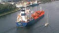 AMUR STAR